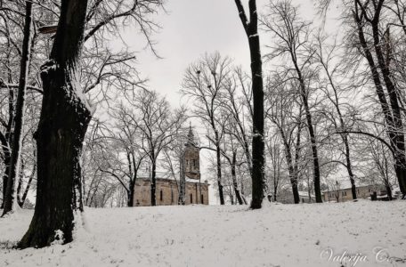 vrbička crkva