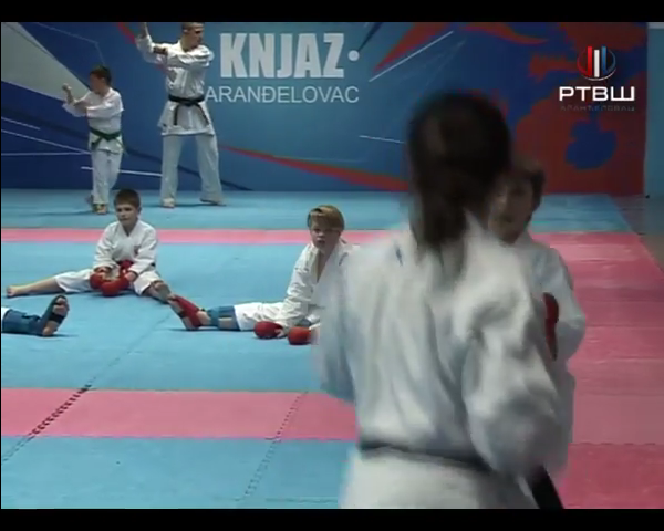 Karate yt 22 02 - YouTube