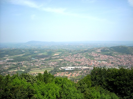 sumadija-bukulja-39865