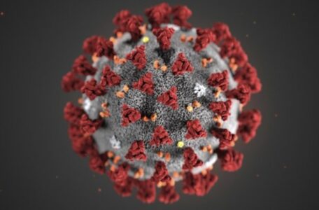 korona_virus